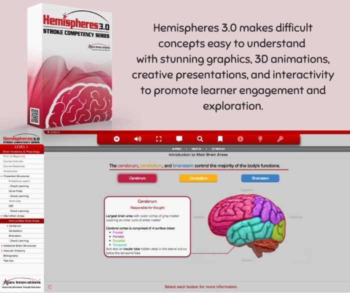 Apex hemispheres 3.0 level 1 answers