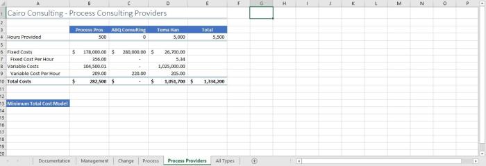 Cairo consulting explore business options with what-if tools