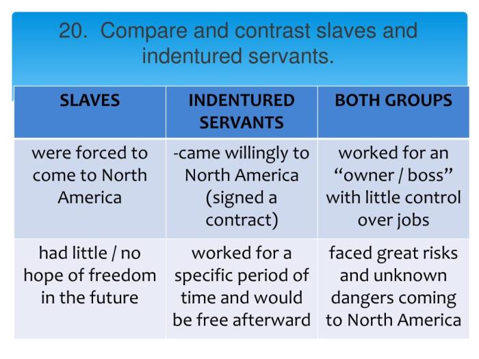 Similarities between indentured servants and slaves