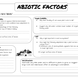 Abiotic factors vs biotic factors worksheet