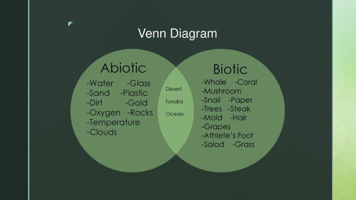 Abiotic factors vs biotic factors worksheet