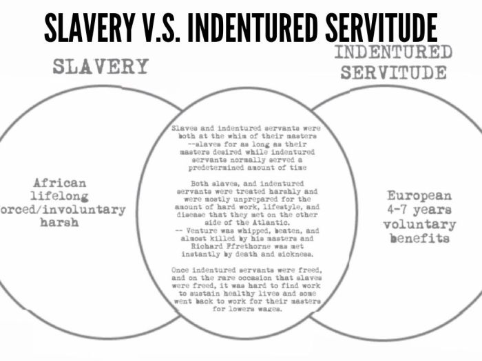 Slave arab slaves trade east livingstone century african 19th zanzibar london hms david slavery indentured ship africans muslim daphne part