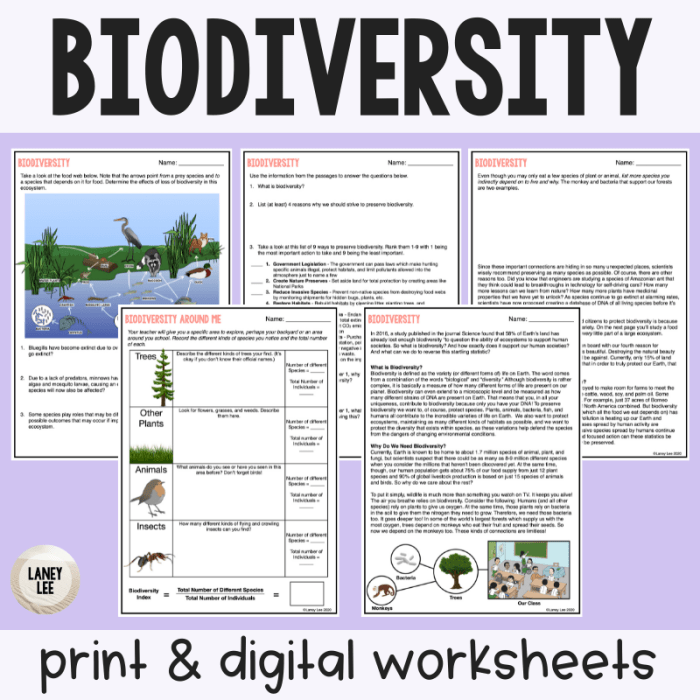 Active reading what is biodiversity answer key