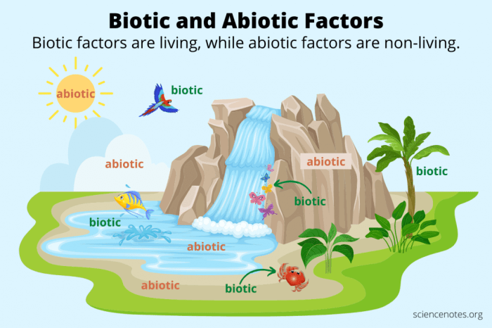 Abiotic factors vs biotic factors worksheet