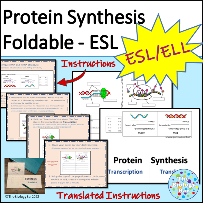 Protein synthesis digital breakout escape room