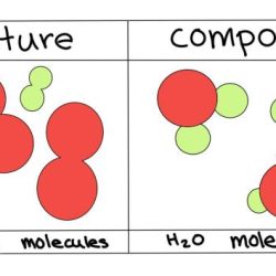 Mixture homogeneous heterogeneous mixtures substances composition distributed phases cereals